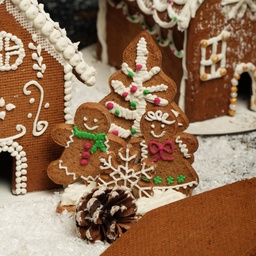 N- Mini Kit DIY Noël